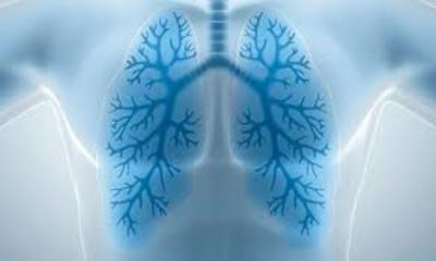 Regular fisio respiratoria